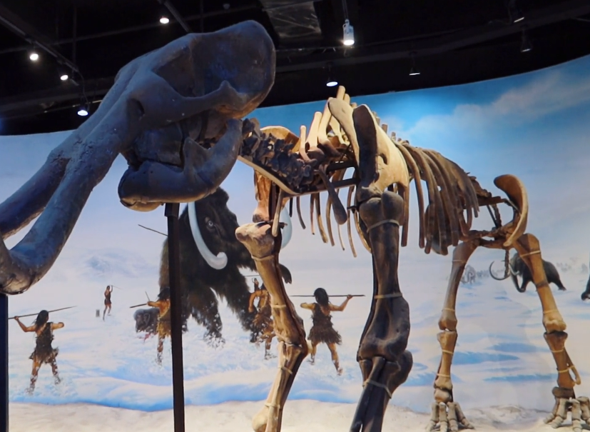 锦州中德古生物博物馆游玩攻略2