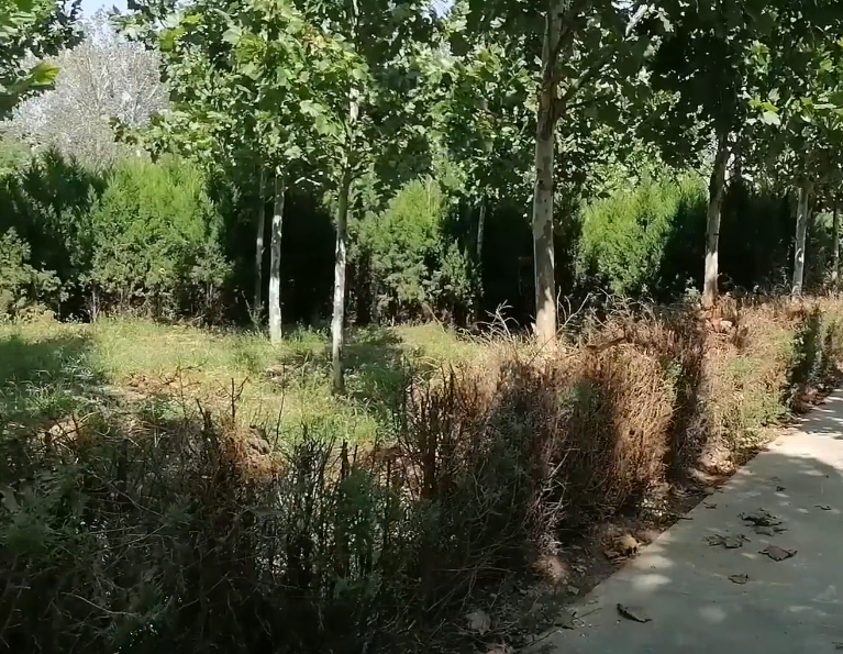 鞍山西佛烈士陵园游玩攻略1