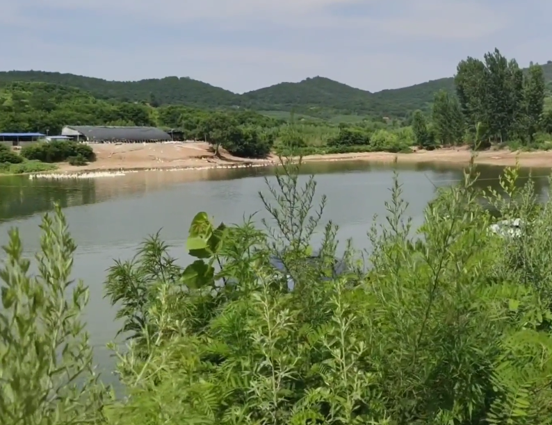 营口灵山永康山庄游玩攻略1