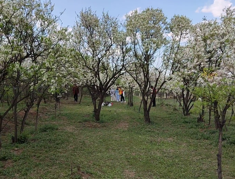 朝阳华龙山文冠谷游玩攻略1