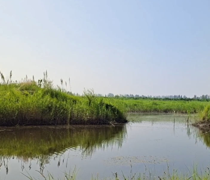 鞍山大麦科湿地保护区游玩攻略1