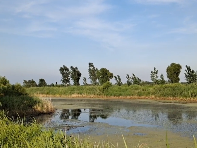 鞍山大麦科湿地保护区游玩攻略2