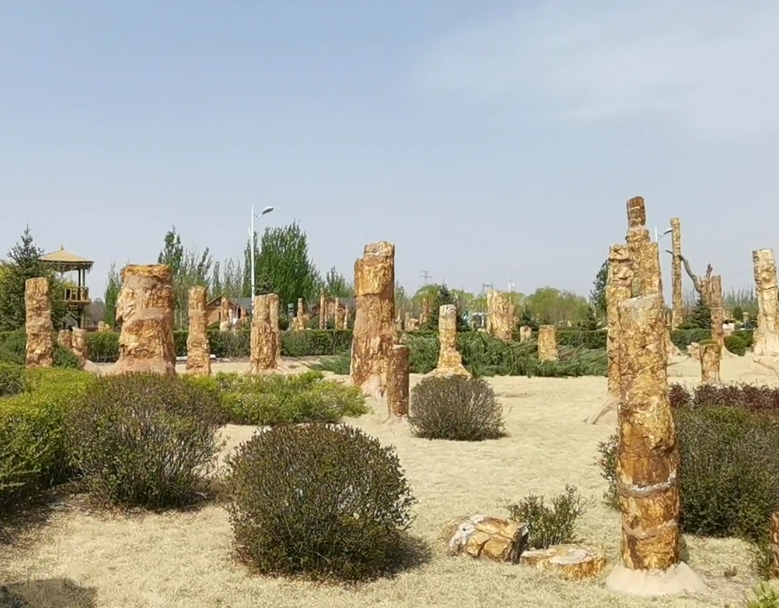 朝阳鸟化石地质公园木化石林游玩攻略1