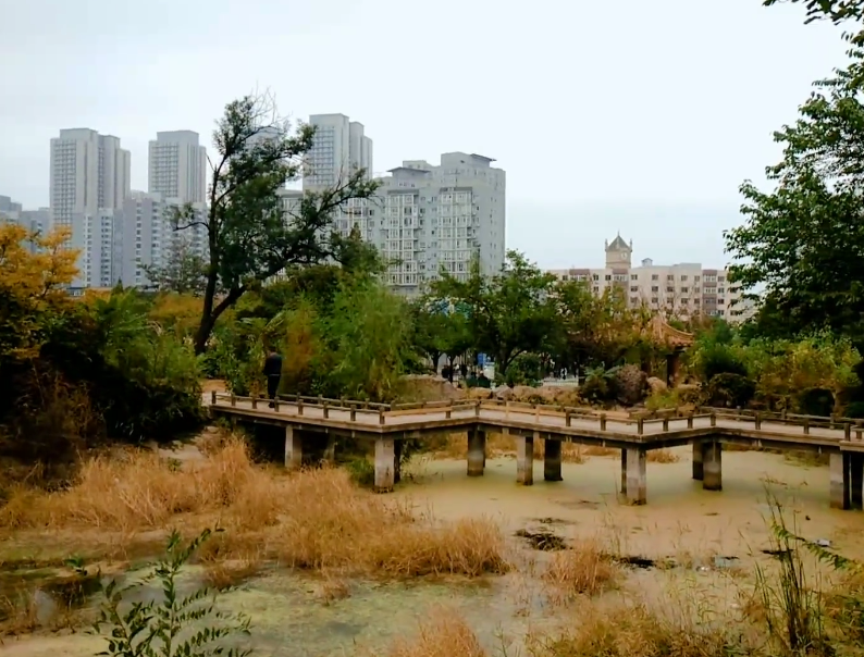 鞍山孟泰公园游玩攻略2