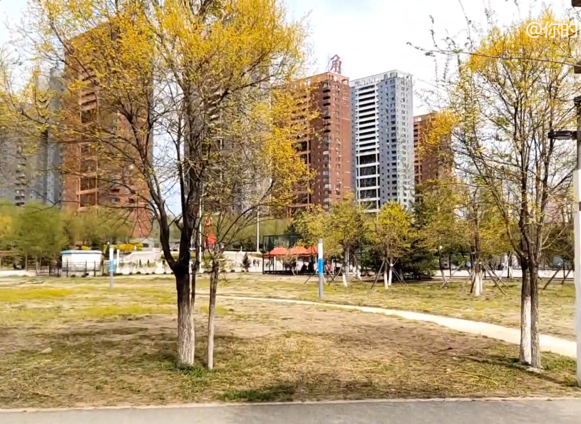 抚顺东洲河滩公园游玩攻略1