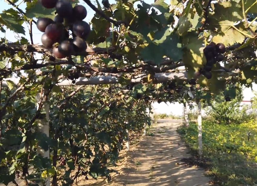 营口松月山庄游玩攻略1