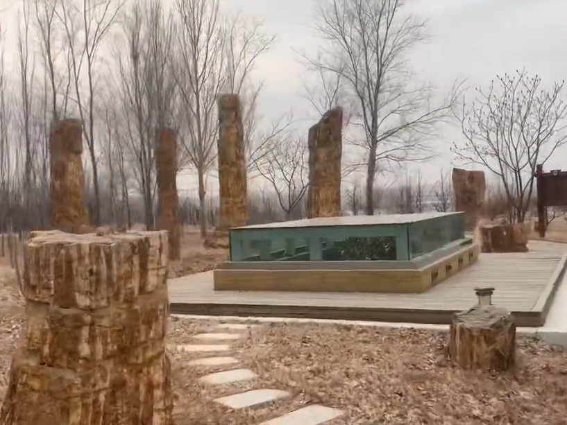 锦州中德化石地质公园游玩攻略1