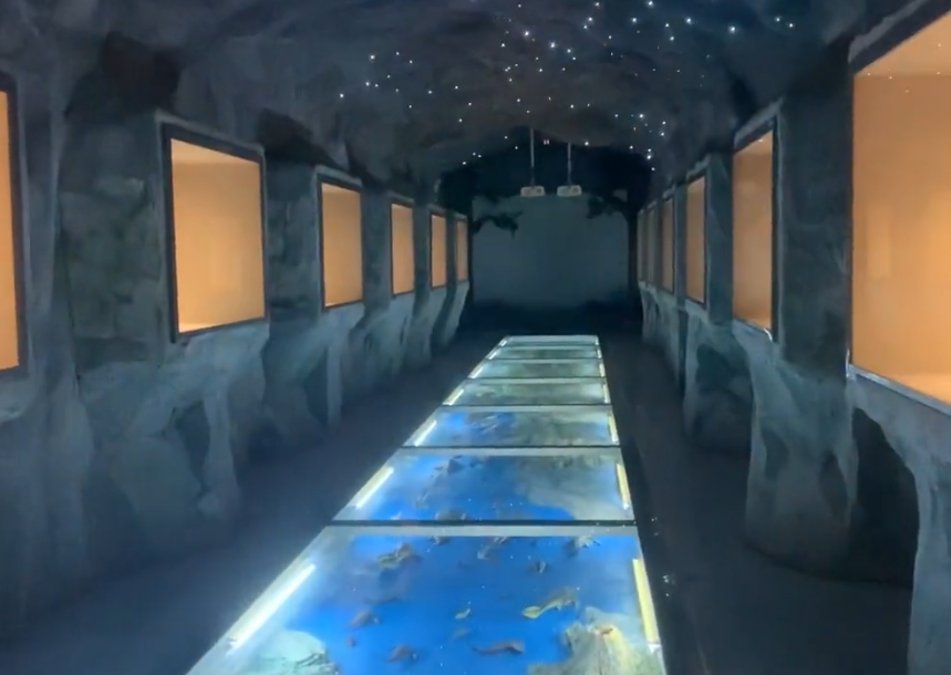 锦州中德古生物博物馆游玩攻略1