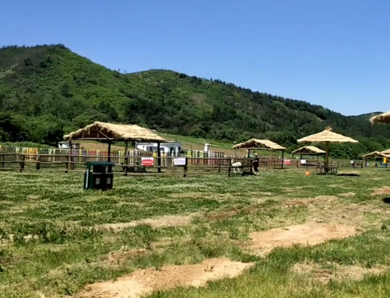 沈阳为雅都市庄园游玩攻略1