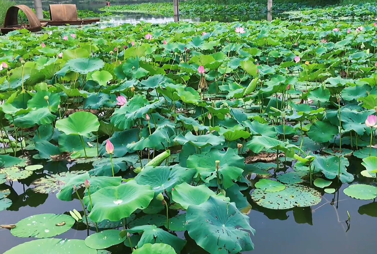 铁岭榆城公园游玩攻略1