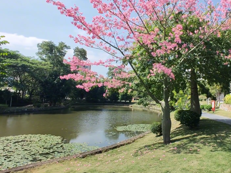 葫芦岛月亮湖公园游玩攻略1