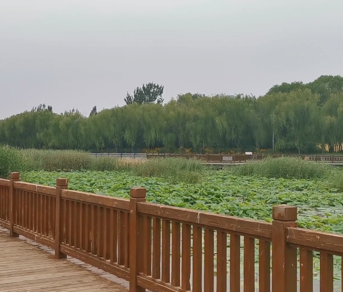 葫芦岛月亮湖公园游玩攻略2