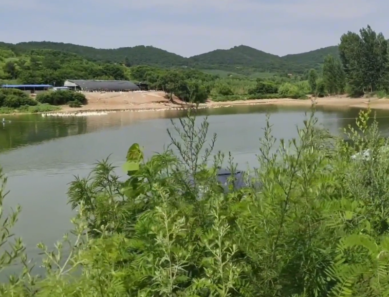 营口回龙山庄游玩攻略1