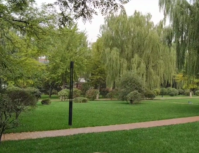 沈阳奉达公园游玩攻略1