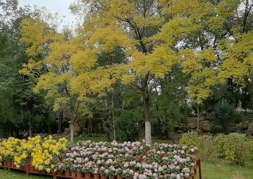 营口樱溪公园游玩攻略2