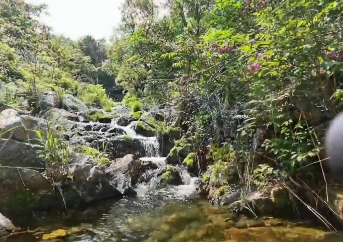 鞍山九龙川自然保护区游玩攻略1