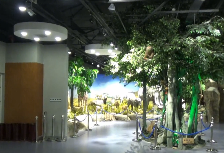 沈阳沈阳大学自然博物馆游玩攻略2