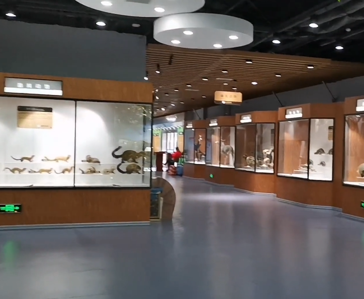 沈阳沈阳大学自然博物馆游玩攻略3
