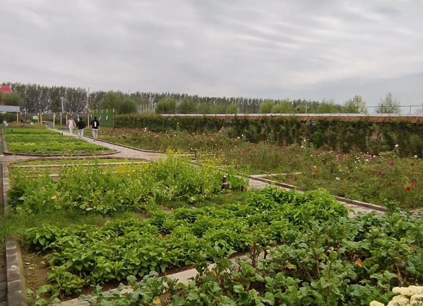 沈阳花溪地温泉生态乐园游玩攻略3