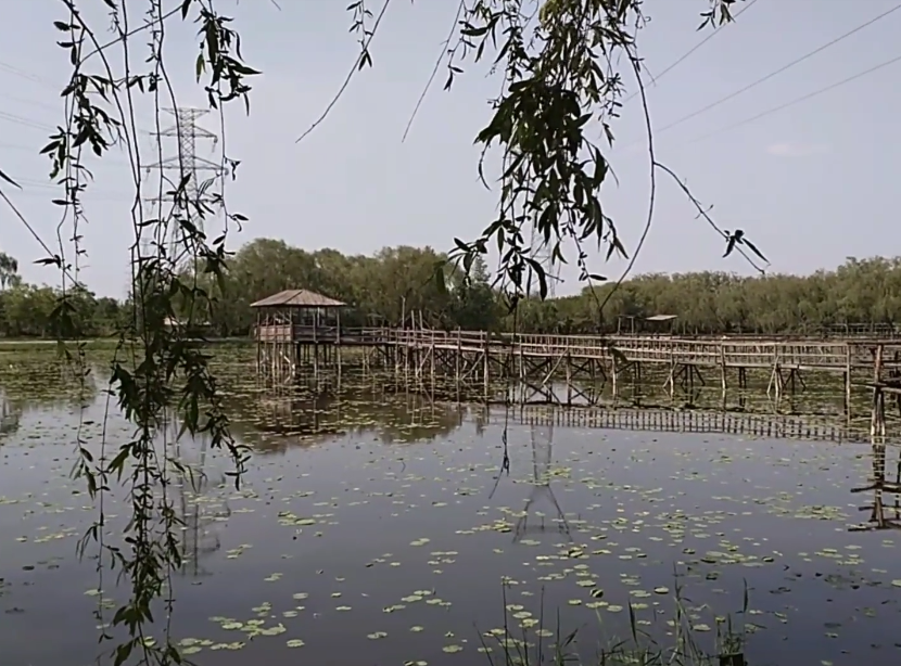 营口野草河湿地游玩攻略1
