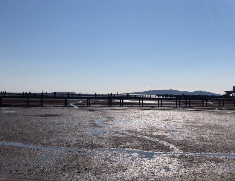 葫芦岛红海栈道游玩攻略1