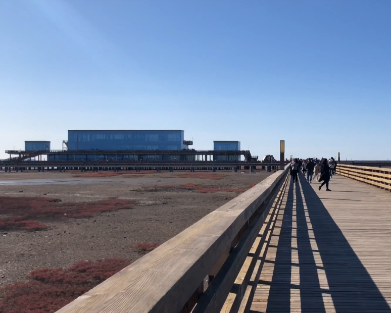 葫芦岛红海栈道游玩攻略2