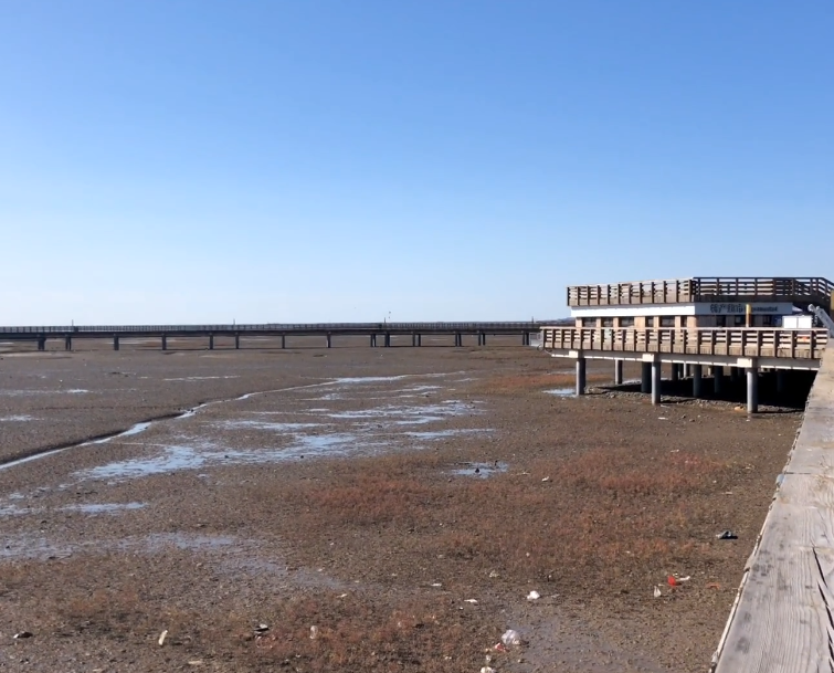 葫芦岛红海栈道游玩攻略3