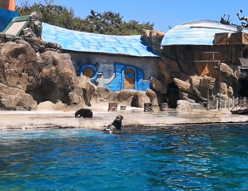 大连老虎滩海兽馆游玩攻略2