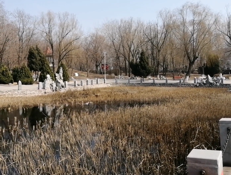 营口营口植物园游玩攻略1