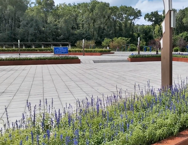 抚顺新屯公园游玩攻略1