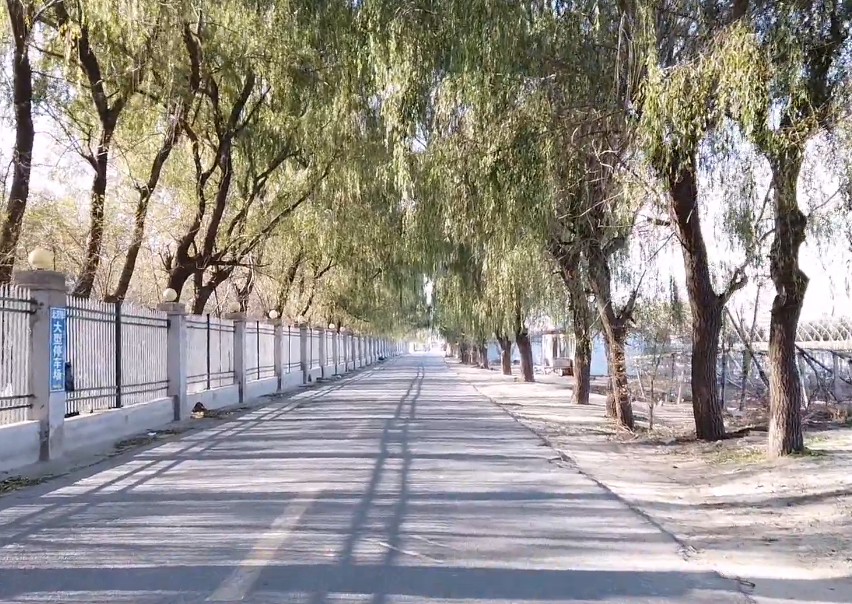 营口白沙湾友缘度假村游玩攻略1