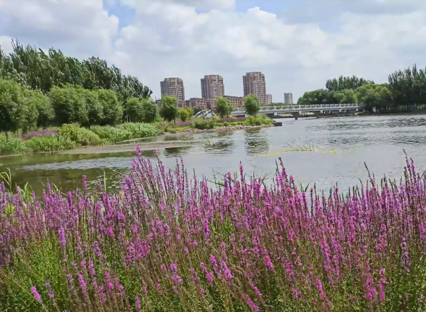 沈阳蒲河滩地公园游玩攻略2