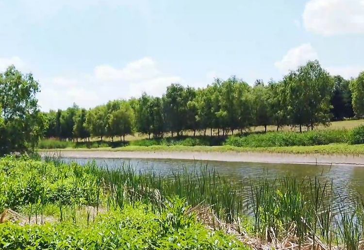 沈阳蒲河滩地公园游玩攻略3