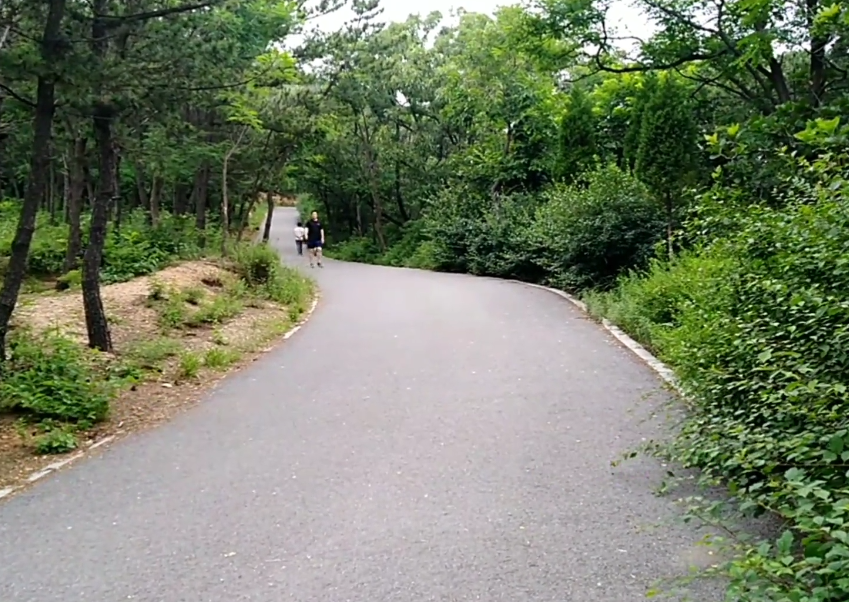 大连环卫公园游玩攻略1