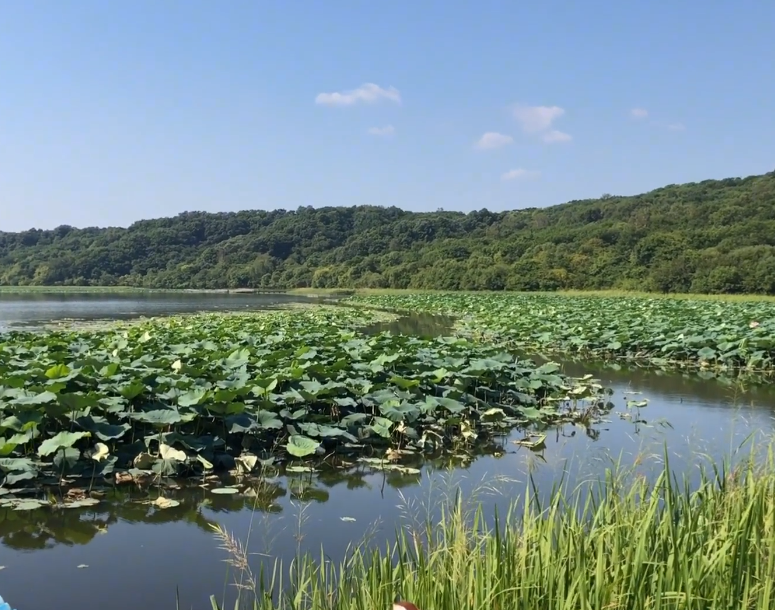 锦州黑山莲花湖景区游玩攻略2
