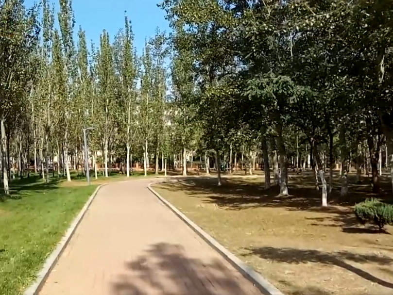 营口绣龙森林公园游玩攻略1