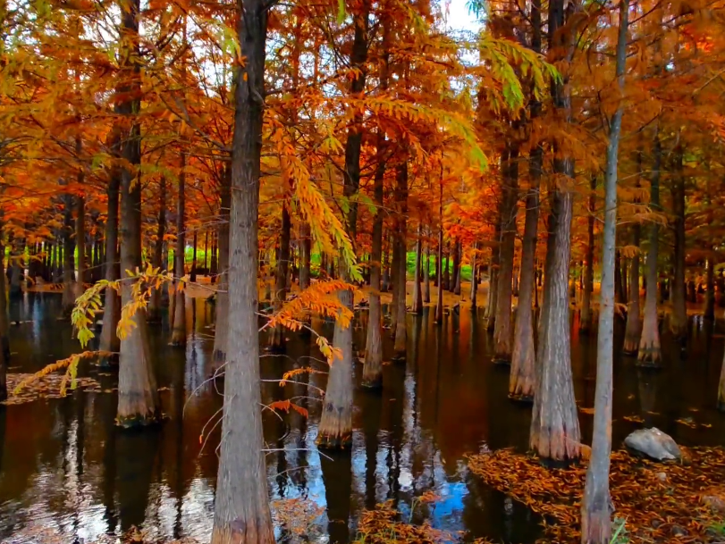 大连红杉庄园游玩攻略1