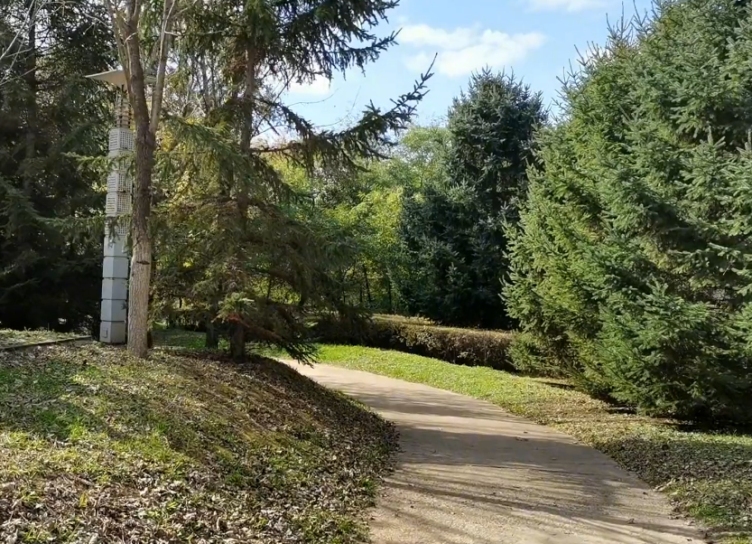 沈阳沈采公园游玩攻略3