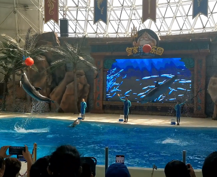 抚顺皇家海洋乐园游玩攻略2