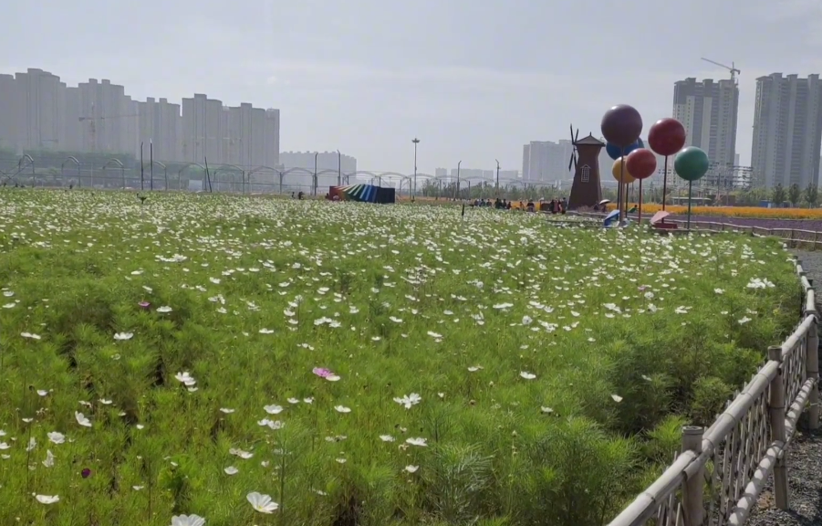 沈阳财湖花海游玩攻略2