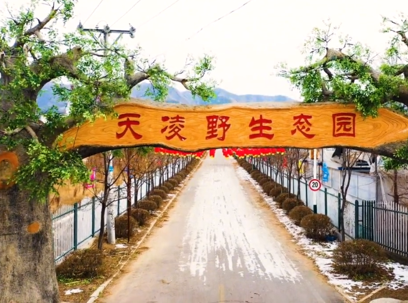 朝阳天凌野生农业生态园游玩攻略1