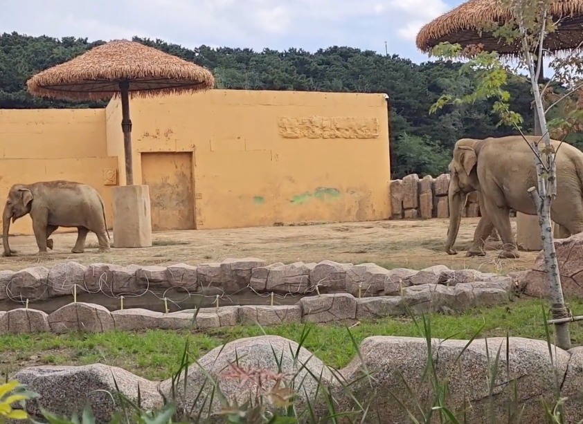 沈阳冰川动物乐园游玩攻略1