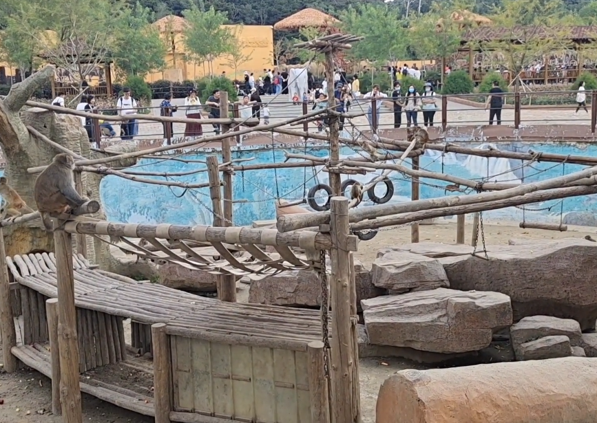 沈阳冰川动物乐园游玩攻略2