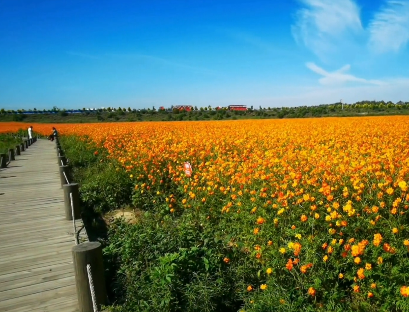 鞍山张荒古渡游玩攻略3