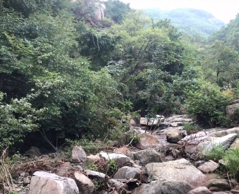 大连银石滩国家森林公园游玩攻略1