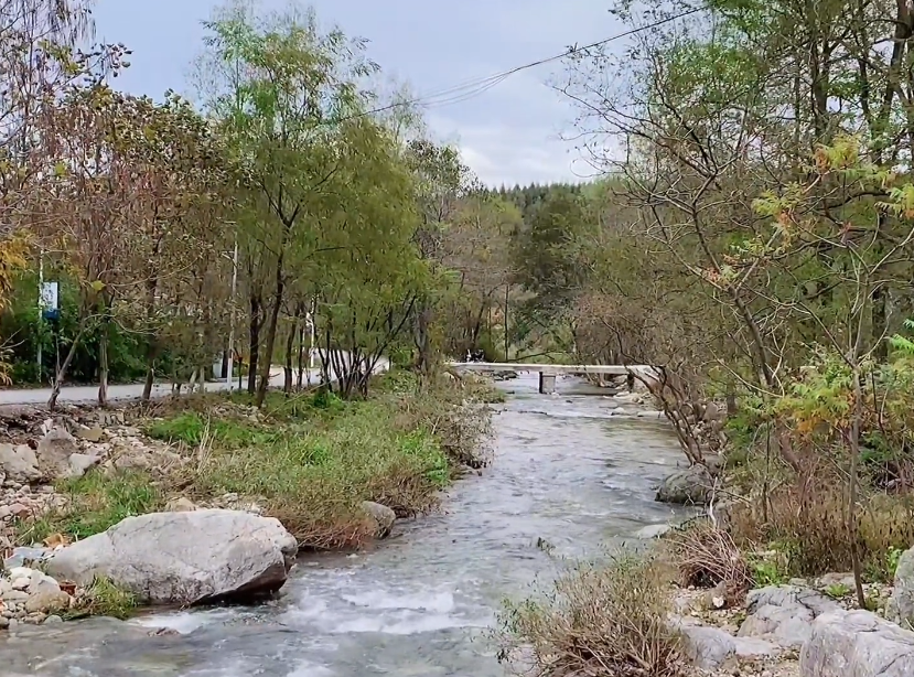 大连银石滩国家森林公园游玩攻略2