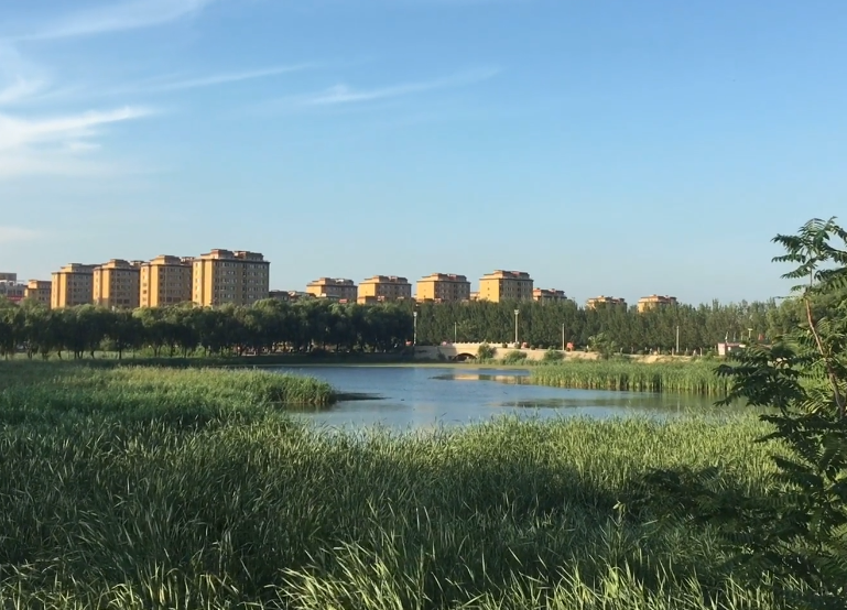 锦州黑山南湖公园游玩攻略1