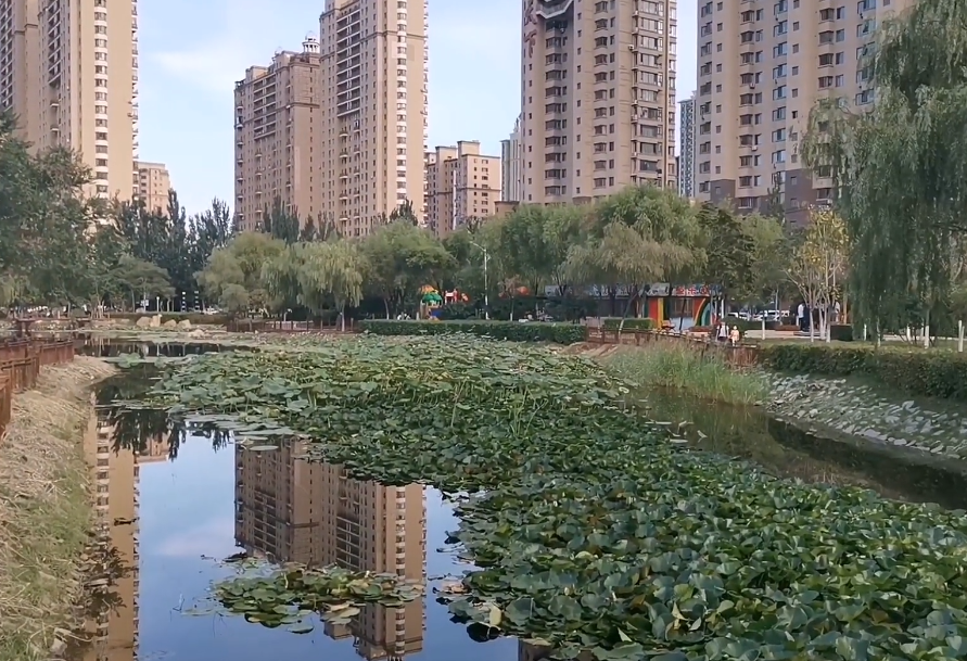 营口站前南湖公园游玩攻略1