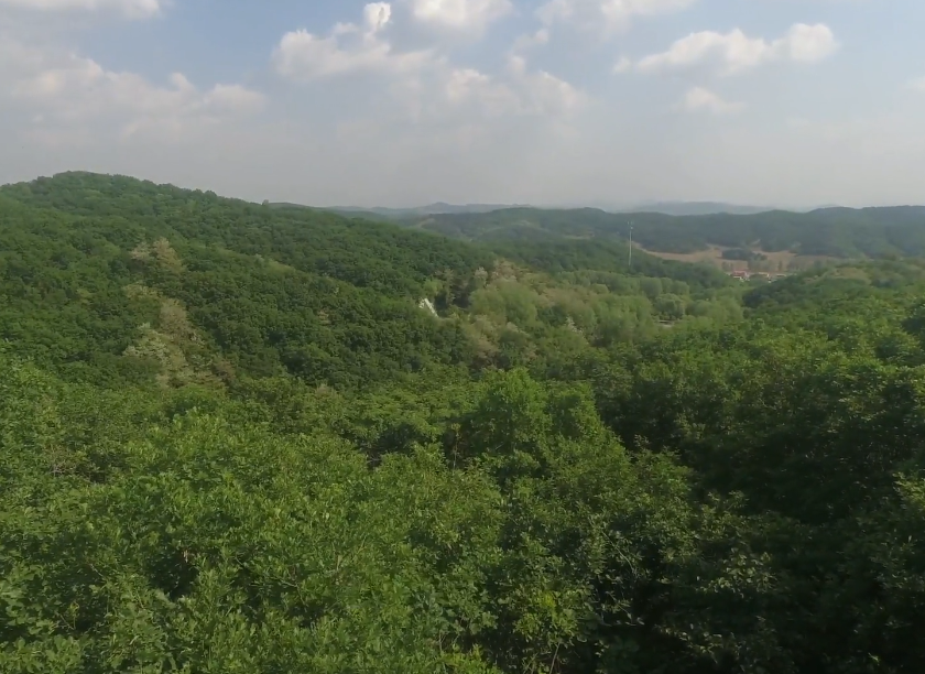 沈阳金三角森林公园游玩攻略2