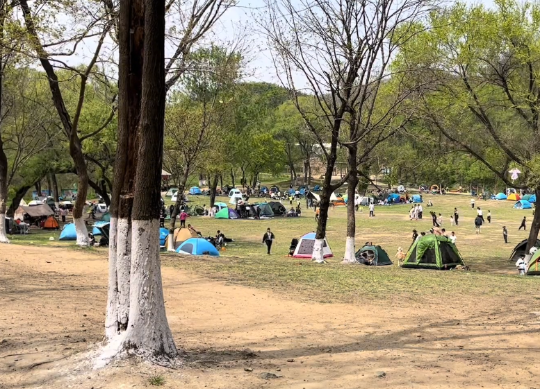 抚顺高尔山公园游玩攻略1